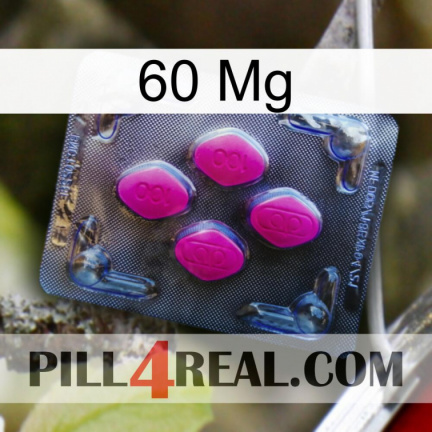 60 Mg 02